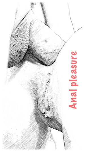 Anal pleasure