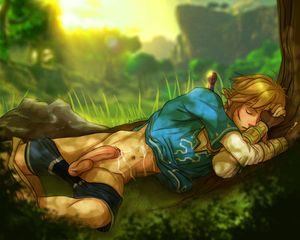 Link Sleeping Hentai