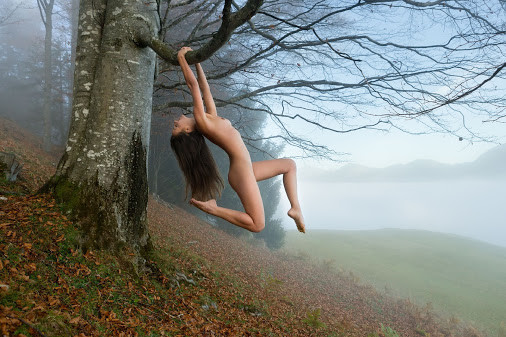 Swinging from a tree.