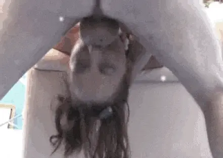 Yeah that's what you get for sucking cock!