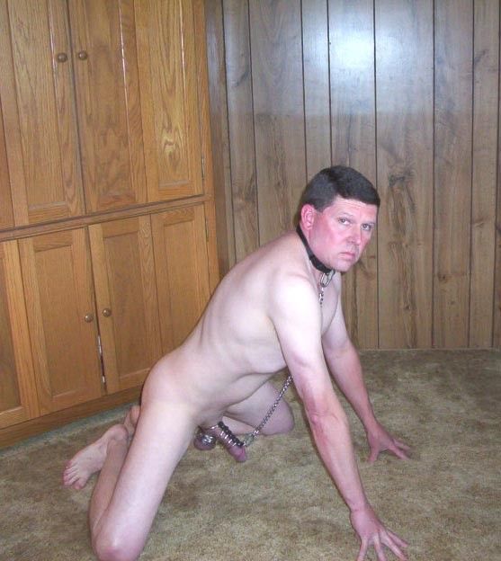 submissive slut puppy on display