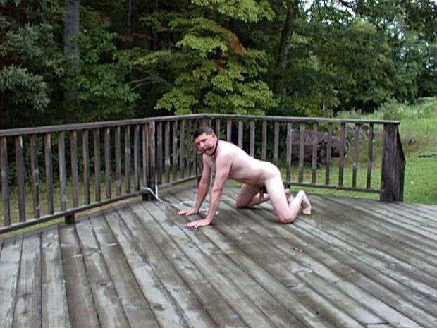pup tied out on back porch waiting to be bred by Master