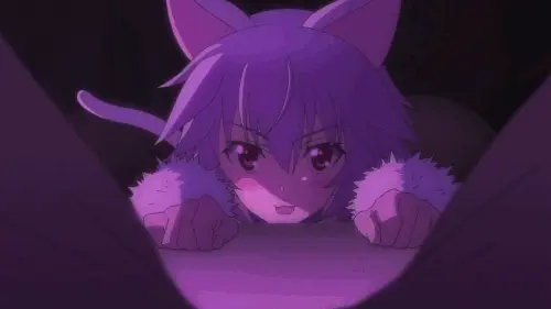 @Neko
