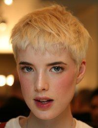Pixie Cutey 11