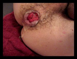 Les Chaleurs de Sylvia