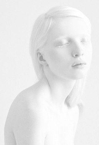 Albino Bunny 2