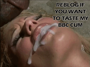 CuriousBBC Picture