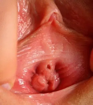 Beautiful pulsing or twitching pussy closeup