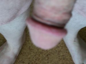 looking down at dick