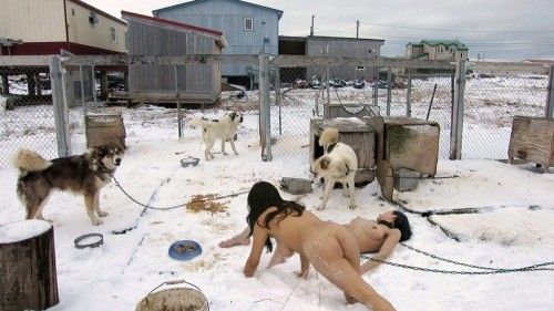 perras de nieve