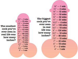 poll of smallest and largest penis encounters
