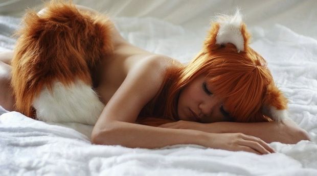 Sleeping Fox