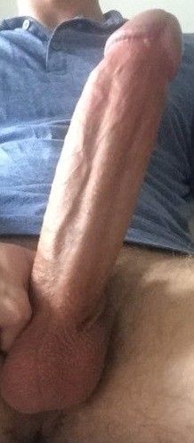 panczo Picture