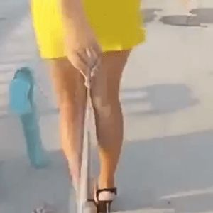 Penis leash fetish, anyone knows the source?