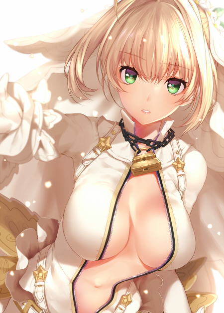 Beautiful Saber Bride Fate/Extra CCC