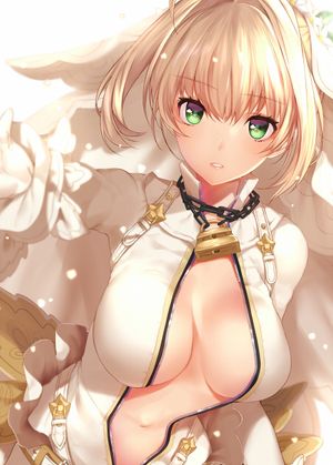Beautiful Saber Bride Fate/Extra CCC