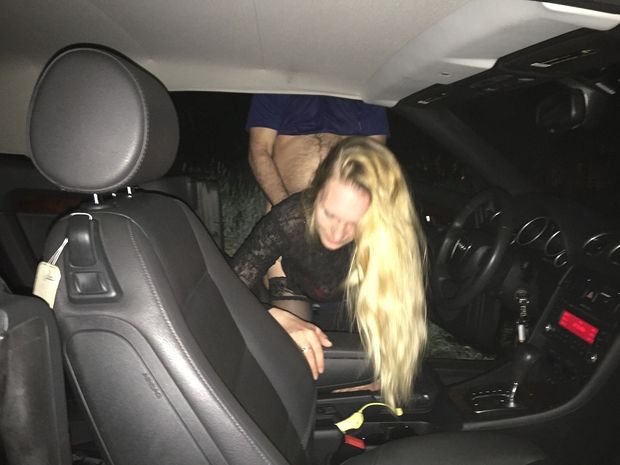 doggy in the car