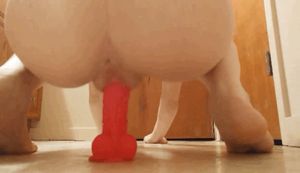 Going ham on dildo