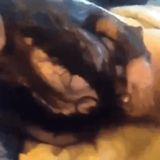Amateur boss sexy