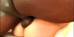 BBC rough