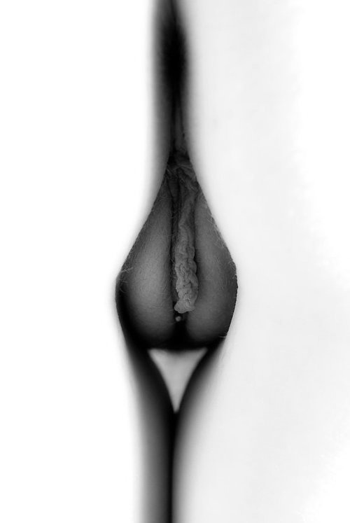superbe