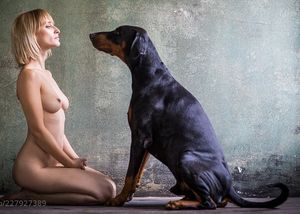 mascotas de exposición