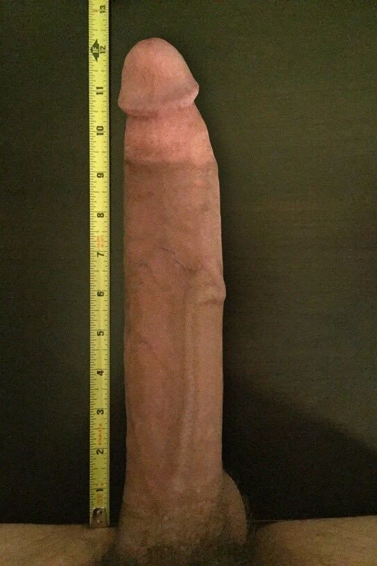 fsdfv