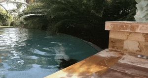 Sexy Gillian Barnes shaking off water