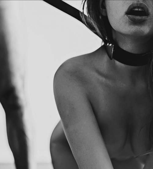 Leash
