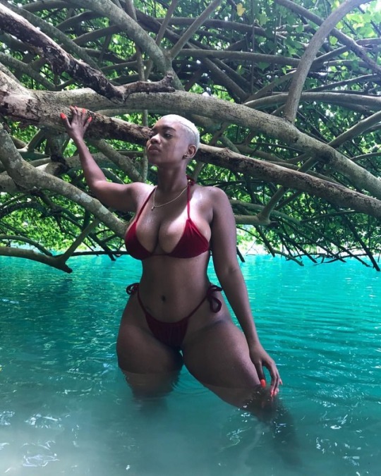 Jada Kingdom
