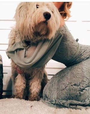 Peyton list is looking sexy as hell with a big ass in gray laced dress