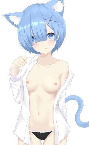 Rem sexy Catgirl Re:Zero