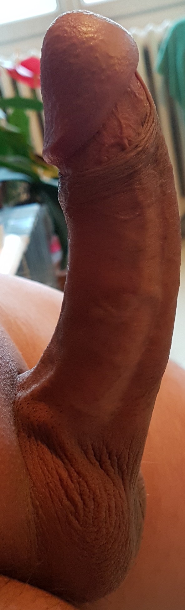 Fev. 2018