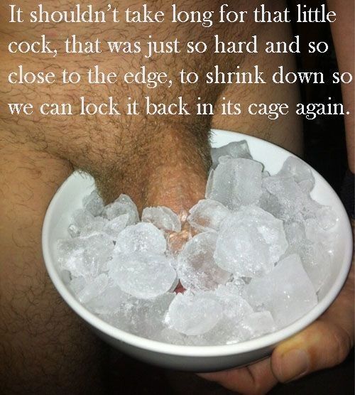 Cool Off and Back in Your Cage Cuck!