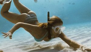 You see such amazing things when you freedive!