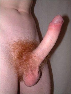 Huge red dick