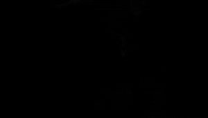 sensual brunette giving BJs