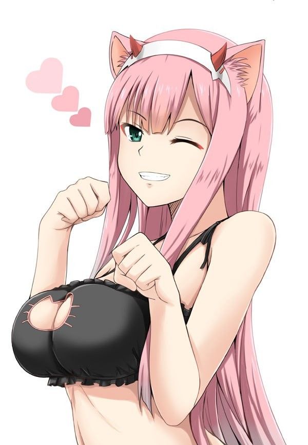 neko