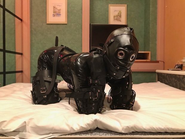 pet
