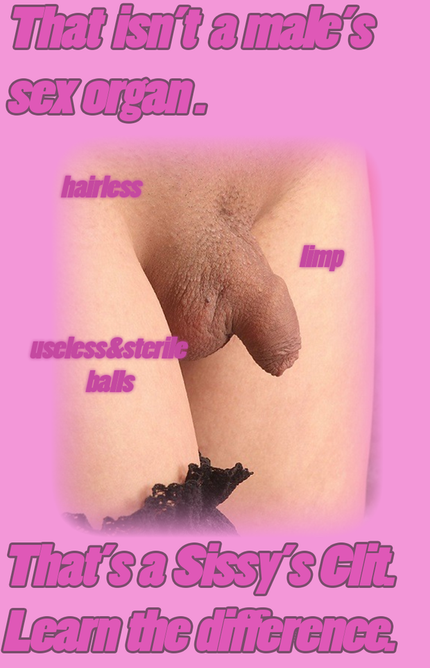 Sissy Safe Space