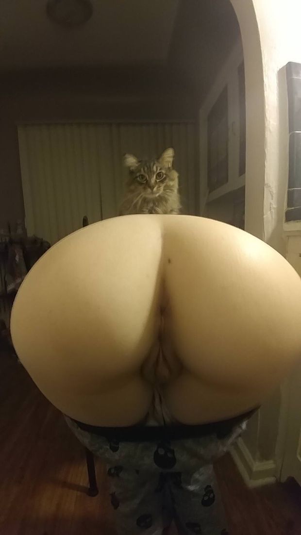chatte