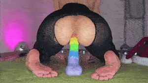 rainbow dildo
