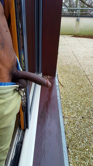 my wife's black manager's cock . take care of my wife ..please