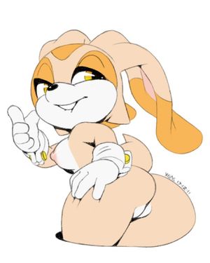 e621 2017 aged_up anthro bedroom_eyes biting_lip butt cream_the_rabbit digital_media_(artwork) female half-closed_eyes inviting lagomorph mammal presenting presenting_hindquarters pussy rabbit seductive simple_background solo sonic_(series) white_backgrou