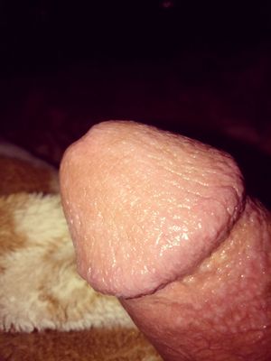 Hamoooz Picture