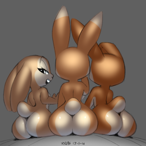 bunnys