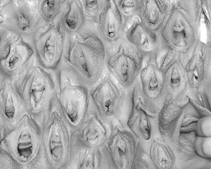 Cooze wallpaper. (beaver, clam, slit, cunt, twat, box, snapper, cock socket. ;)