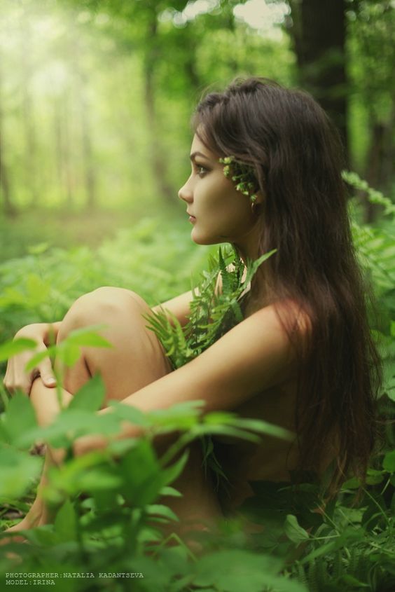 woodland creature