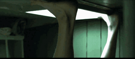 Y. Adam (2003) -2