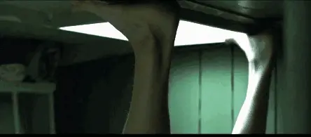 Y. Adam (2003) -2